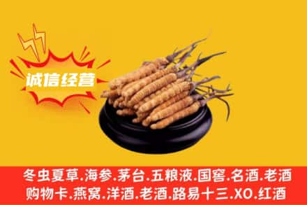 石河子市回收冬虫夏草